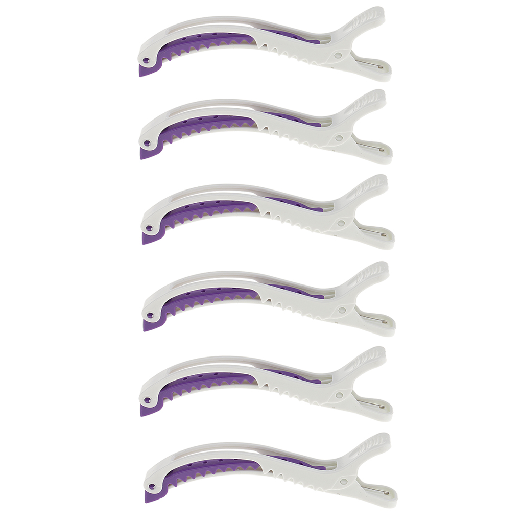 6PCS Pro Hairdressing Salon Se - Crocodile Clip Set 评论和价格