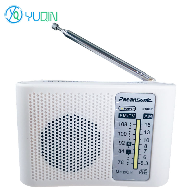 210SP AM/FM Radio Kit DIY Elec - Diy Electronics Projects For Beginners 评论和价格